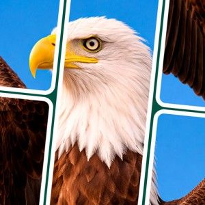 Cardscapes™: Jigsaw Puzzle